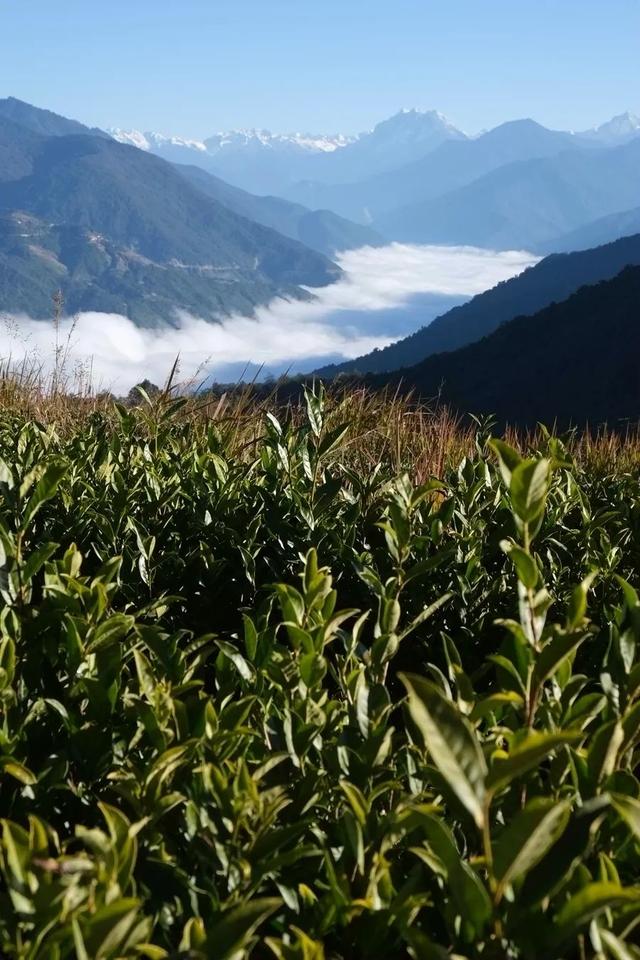 大理砂石洗砂设备价格