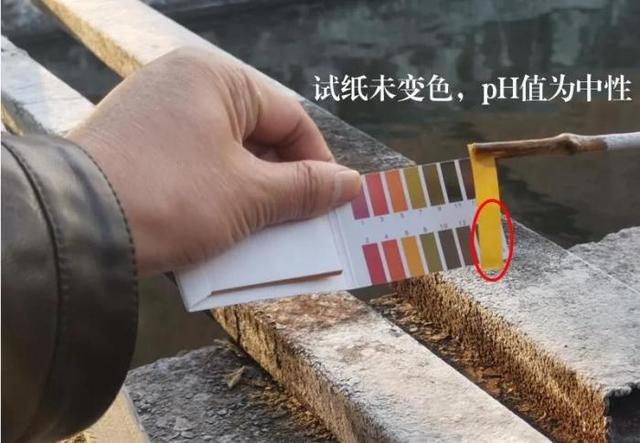 陕西全自动1250型压滤机