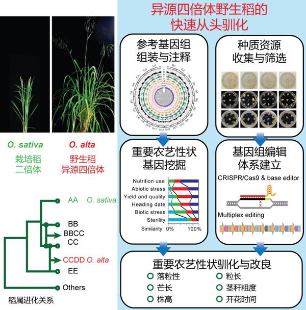 全国青少年行为矫正学校排名(青少年心理矫正机构排行榜)(图6)