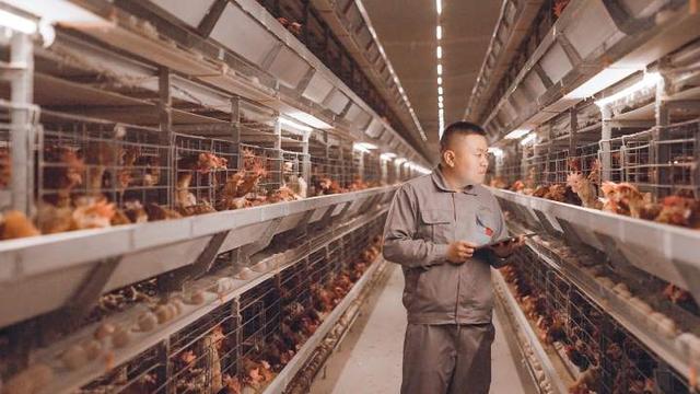 泸西滚筒洗砂机品牌推荐