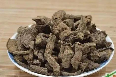 猪肚炖什么养胃健脾 猪肚炖什么养胃健脾