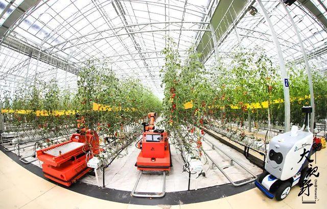 临朐展新工程机械租赁
