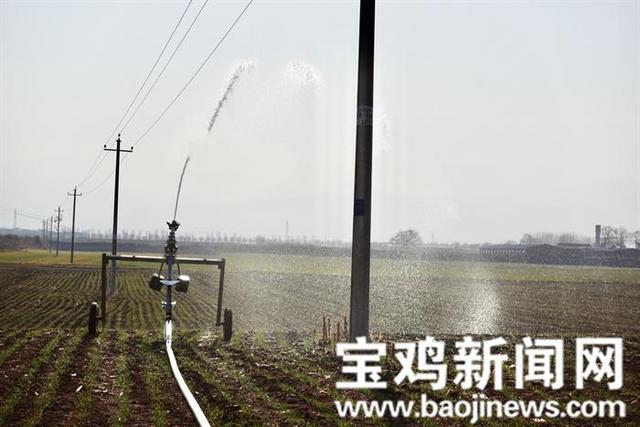 宝鸡移动式制砂机多少钱