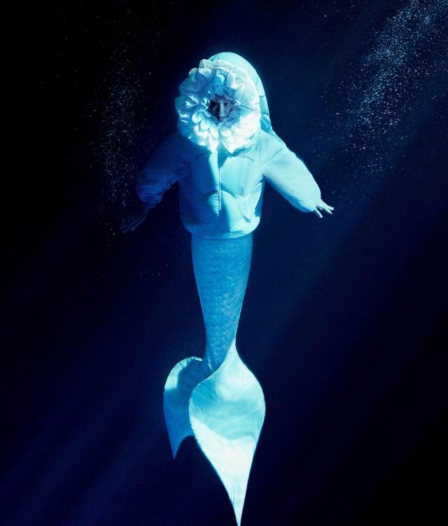 浙江正展工程项目管理