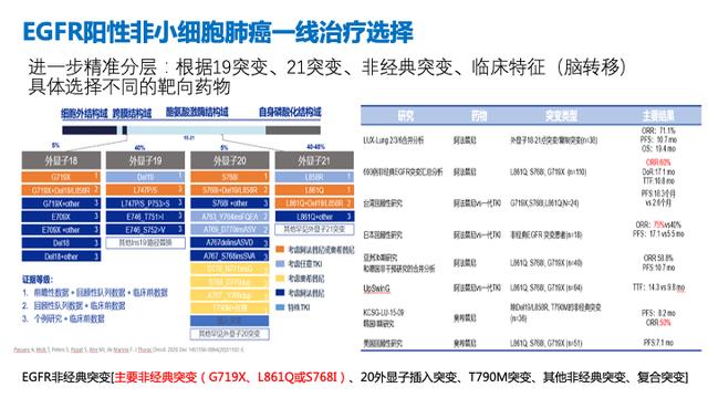 PPT檔案館｜一例國產三代TKI伏美替尼治療晚期肺腺癌的病例分享與思考