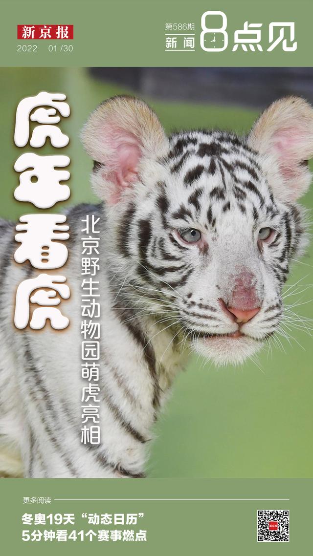 与上校同枕txt下载最新章节(与敌共枕txt全本下载)