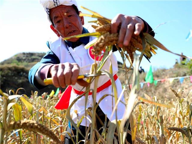 桂林筛沙机洗砂机报价