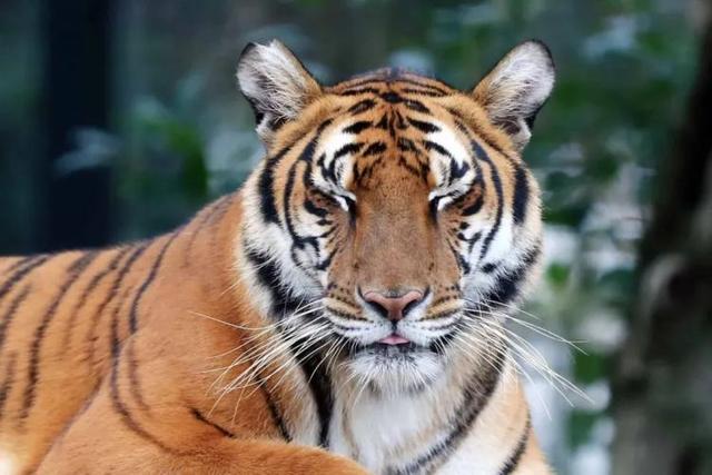 云南易銮领展工程公司