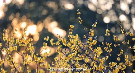 无锡洗砂机参数