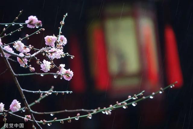 夜读 | 雨水：好雨知时节3