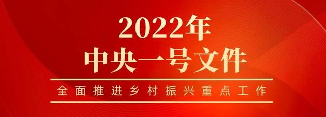 极其罕见！几十年来最晚发布的中央一号文件，到底透露了什么重大信号？