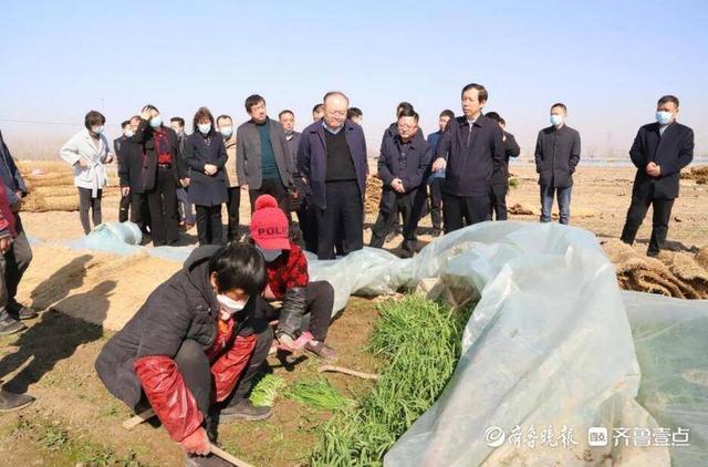 聊城洗砂机的简单介绍