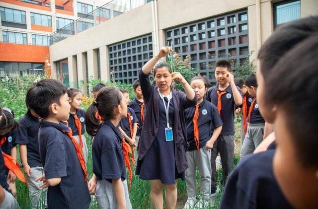 为学生成长赋能！潍坊这所学校探索新时代劳动教育新模式