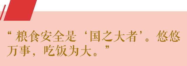 第1视点丨这个“国之大者”总书记念兹在兹