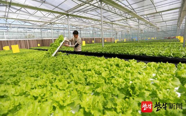 连云港全套破碎洗砂机