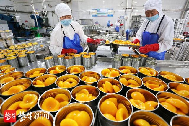 江苏矿山全自动洗砂机用途