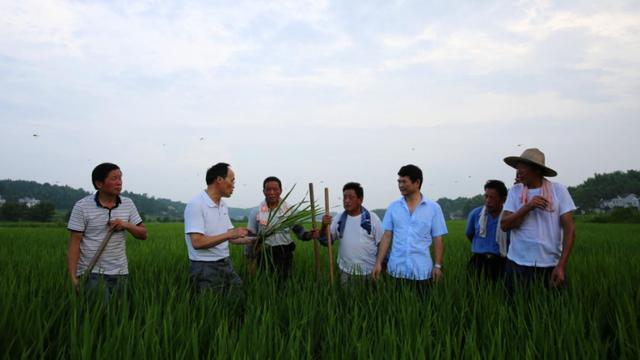 提高农民组织化程度，助力实现乡村振兴 | 代表委员议政录-第3张图片-9158手机教程网