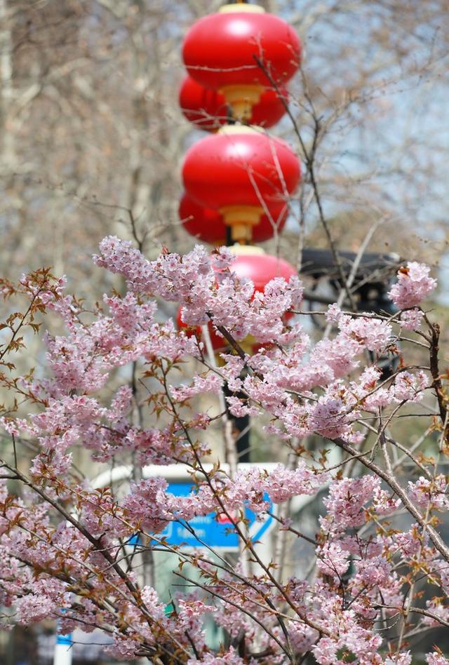 南京江苏国际农业机械展
