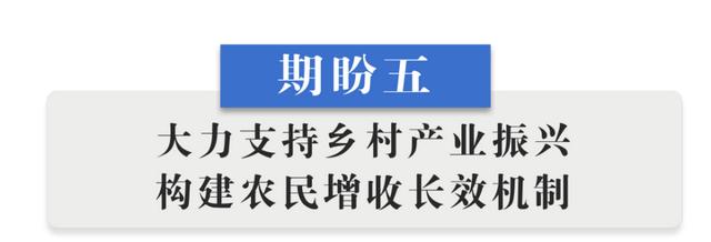 半月谈丨乡村振兴“十二盼”！来自8省24村的蹲点报告-第7张图片-9158手机教程网