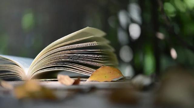夜读丨一个人最好的生活状态：困顿时读书，烦恼时运动，独处时思考
