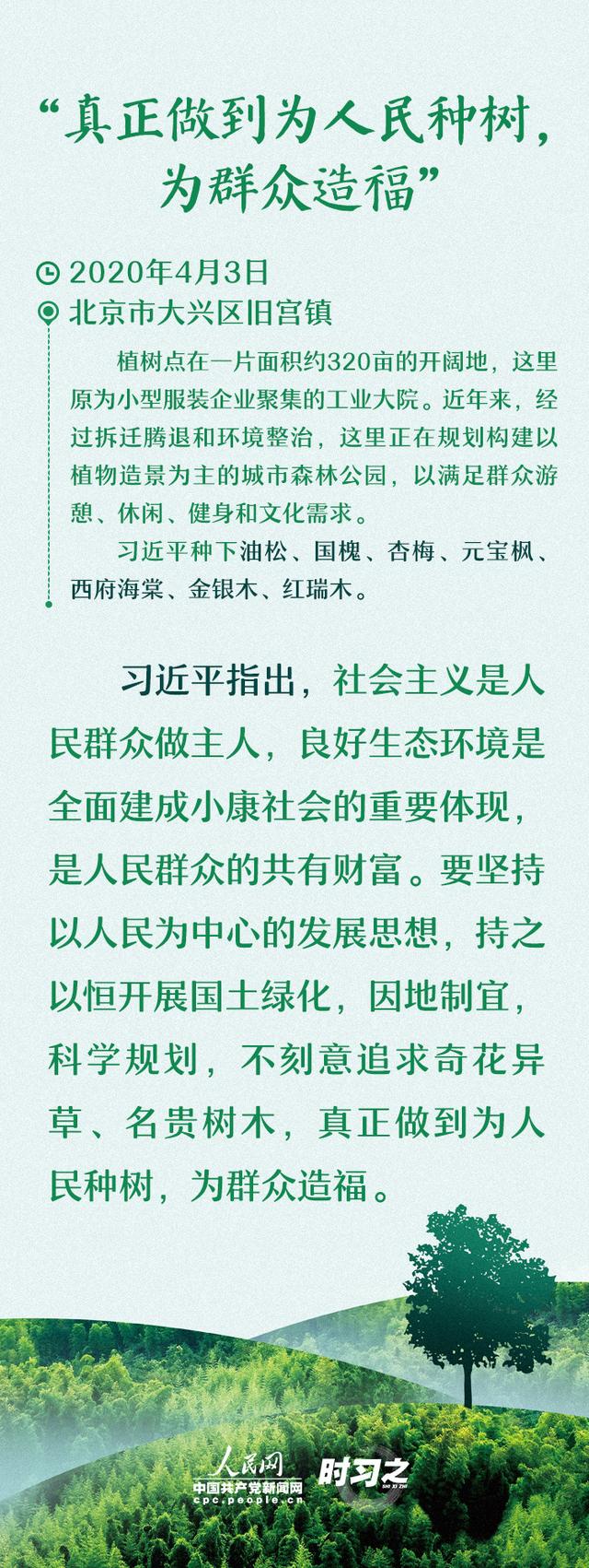 多种树 种好树 习近平厚“植”绿色期望