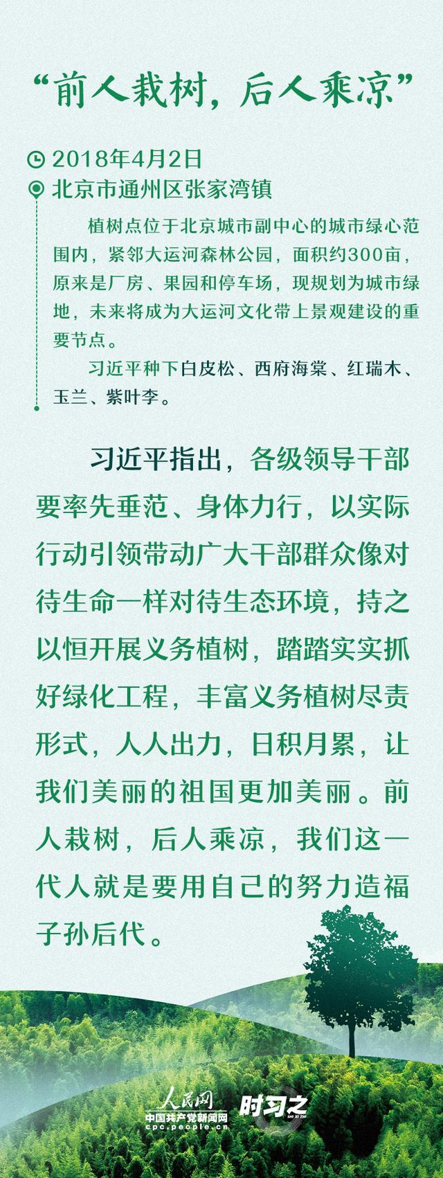 多种树 种好树 习近平厚“植”绿色期望