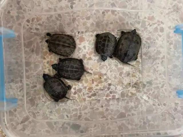 学校适合开什么店