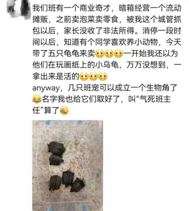 学校适合开什么店