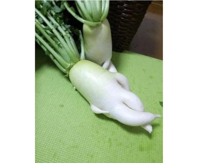 沈阳制砂机供应