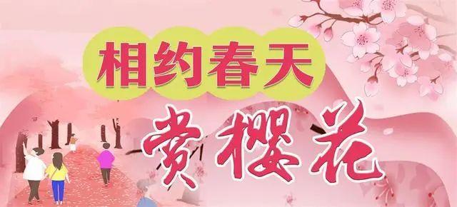 武汉东湖开通三大赏樱专线