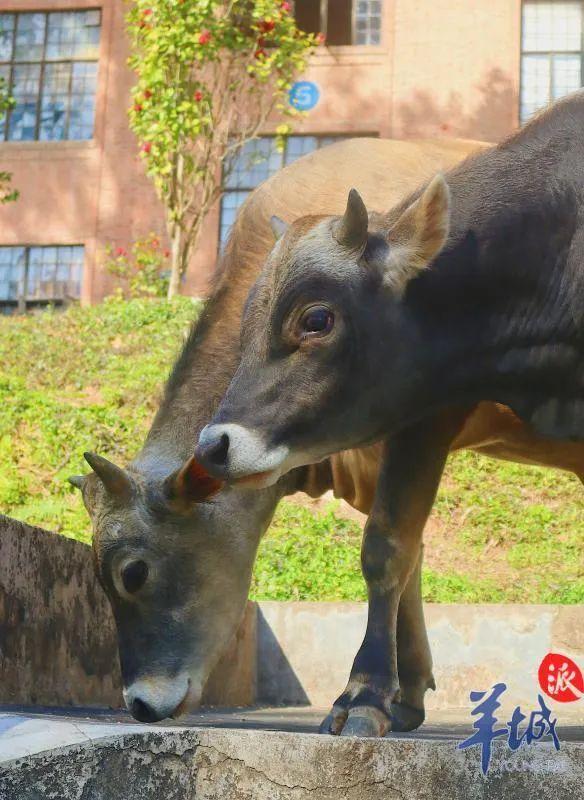 阳光动物医院