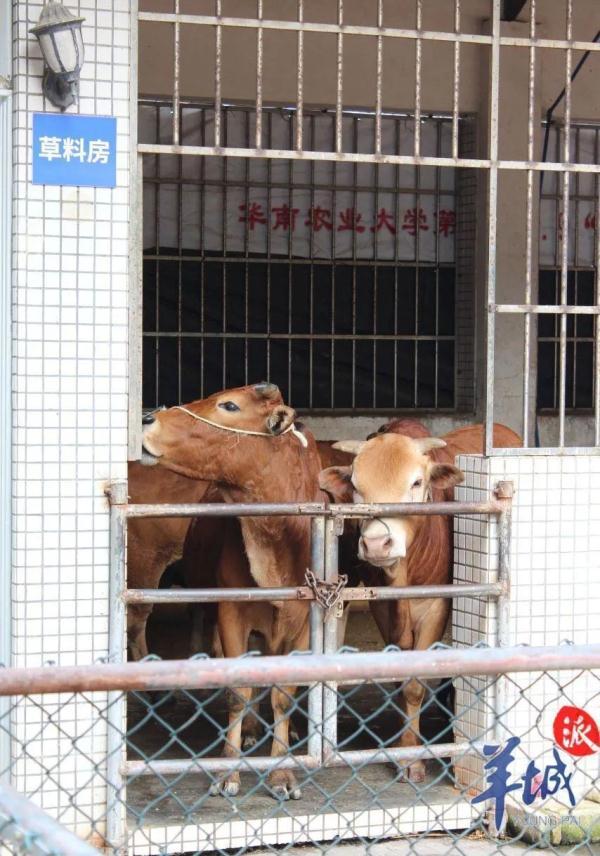 阳光动物医院