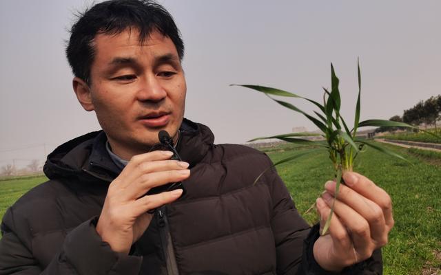 维罗纳农业机械展