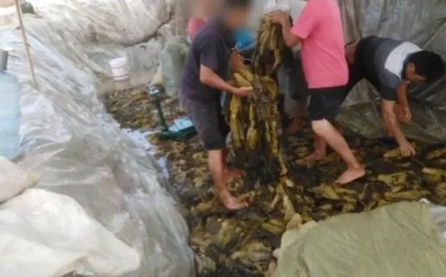 老坛酸菜面，无人再敢称正宗