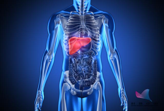 心肝小心肝by夕阳看鱼