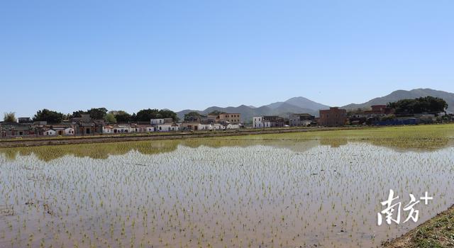 海丰鸿展建设工程公司