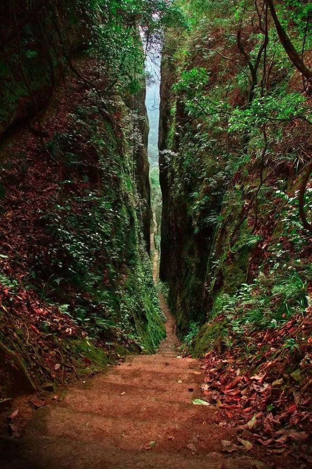 天门山在哪里