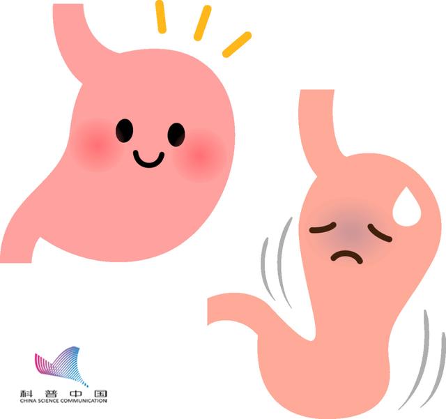 吃饱后该躺着、坐着，还是站着？医生给出了答案……