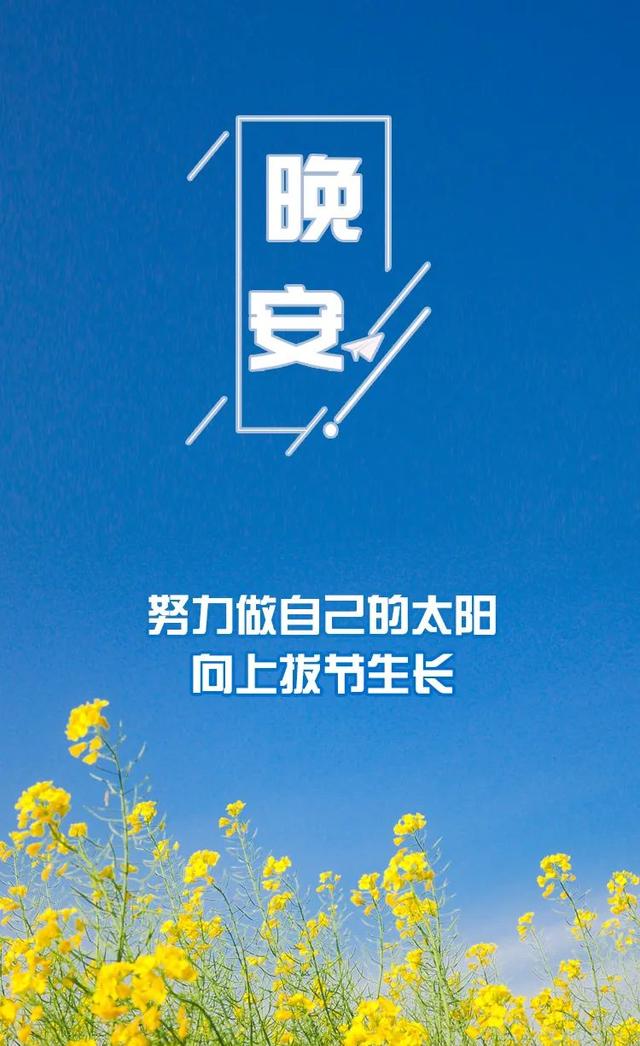 晚间悦读 | 努力做自己的太阳，让自己少点遗憾