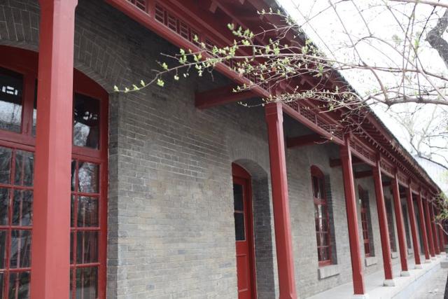 众志成城 齐心战疫｜居家学习的你想念校园吗？那里花儿都开好了 带你云赏花