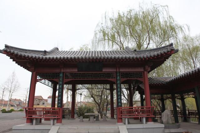 众志成城 齐心战疫｜居家学习的你想念校园吗？那里花儿都开好了 带你云赏花