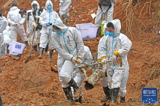 黑匣子、紧急代码、旅客名单……最新权威消息在这里