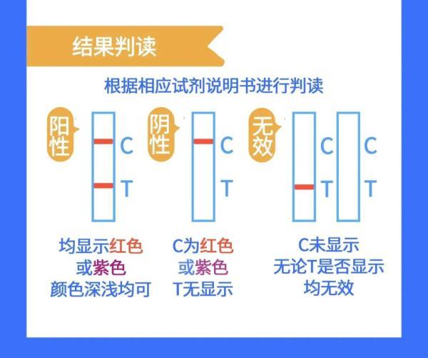 抗原筛查自测操作流程