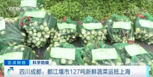 同心抗疫 全国多地紧急调集蔬菜等物资驰援上海