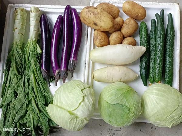 江西省红十字基金会联合上海市江西商会向上海捐赠20多吨蔬菜