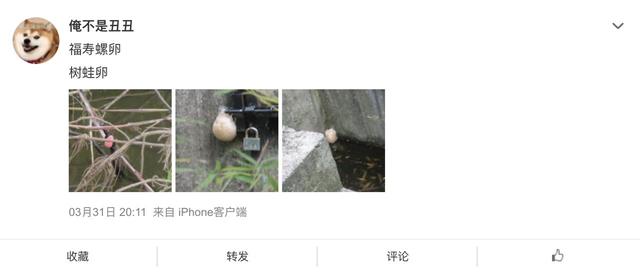 在公园发现这种粉红色的“花”，千万别碰
