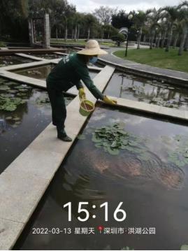 在公园发现这种粉红色的“花”，千万别碰