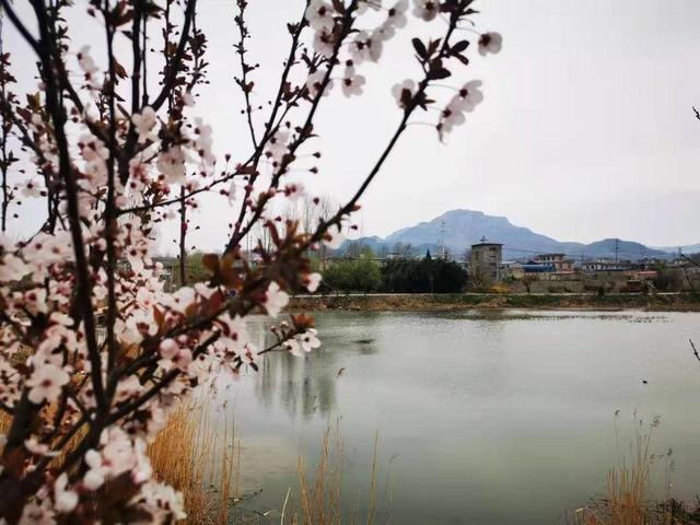 清明｜清明节，祝您快乐