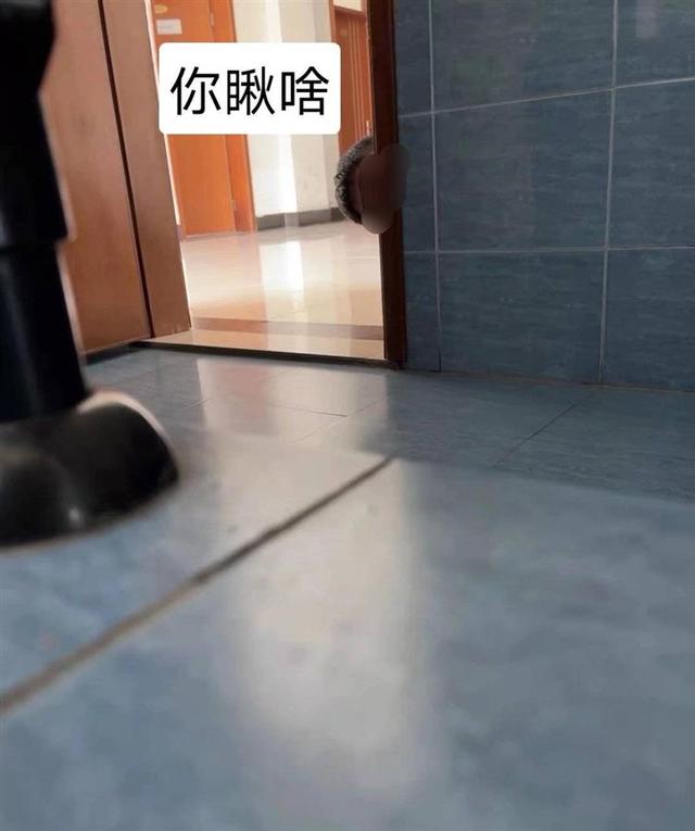 传南京一高校副教授偷窥女厕所