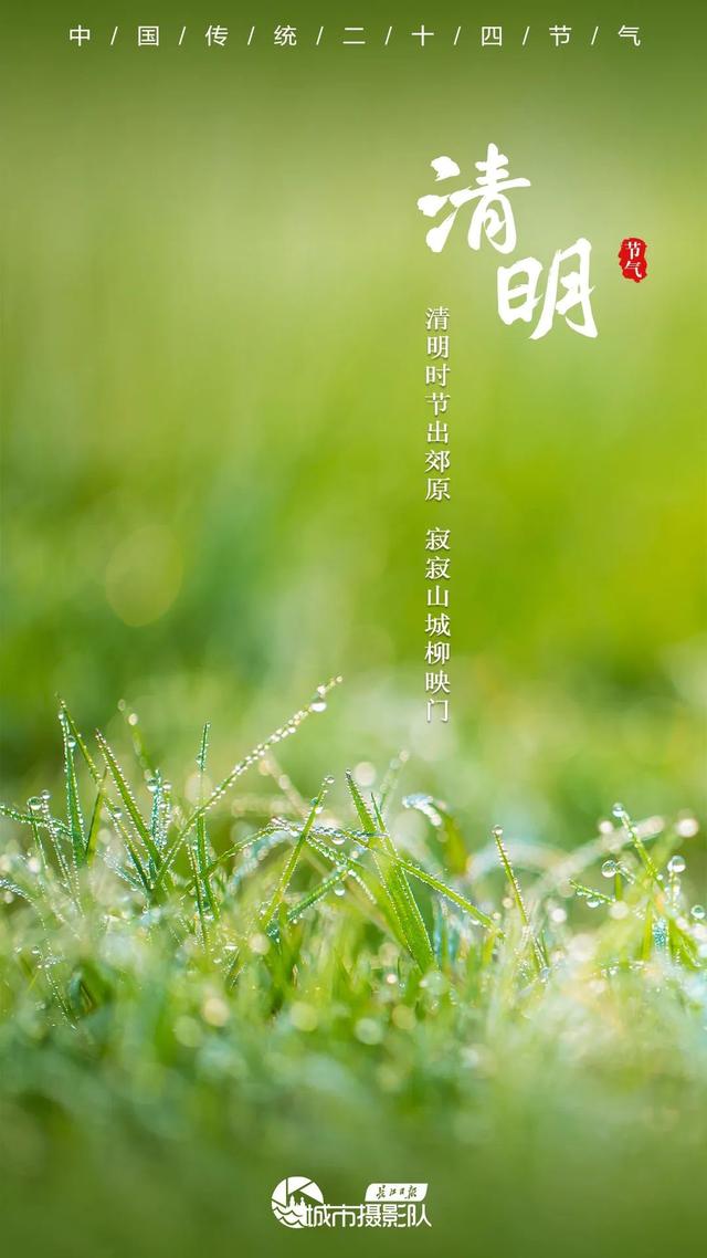 今日清明，酌杯杏花酒，与春天同行｜城市摄影队